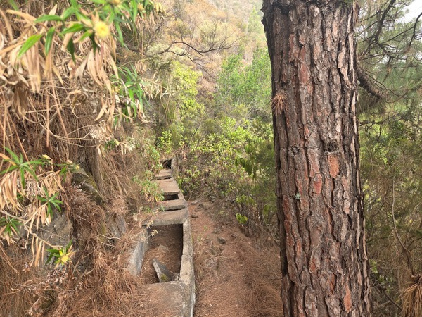 Cliff-hugging canal path with concrete covers ahead on the Las Ventanas de Güímar traverse.