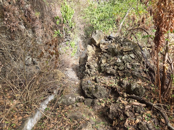 Close view of a dry-stone retaining wall that supports agriculture on steep volcanic terrain.