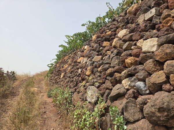 Traditional dry-stone terrace supporting vineyards on the slopes above Güímar.