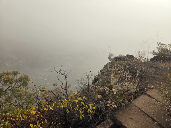 Layered ridges and deep ravines along the Anaga–Güímar escarpment.