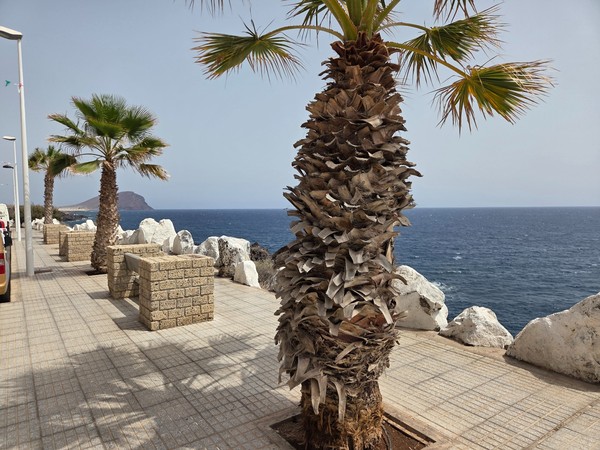 Palm-lined promenade with stone benches facing the Atlantic in Los Abrigos.