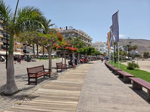 Palm-lined promenade of Los Cristianos with benches, cafés and flags of the Canary Islands, Spain and the European Union.