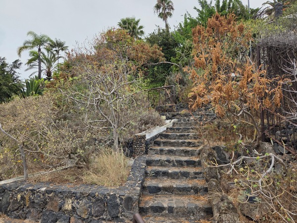 Upper rustic steps with volcanic stone walls and dry shrubs at the park boundary.