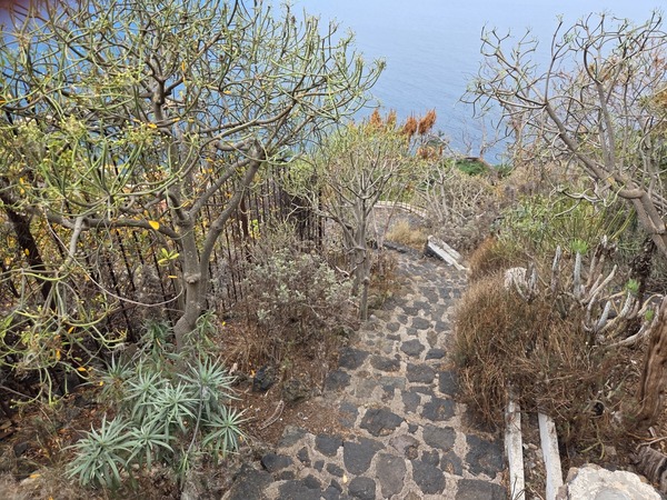 Dry hillside path bordered by tabaiba and succulents on the outer edge of Los Lavaderos.