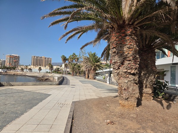 Wide seafront promenade at Playa de Los Tarajales lined with palm trees, apartment buildings and views over the sea and mountains of southern Tenerife.