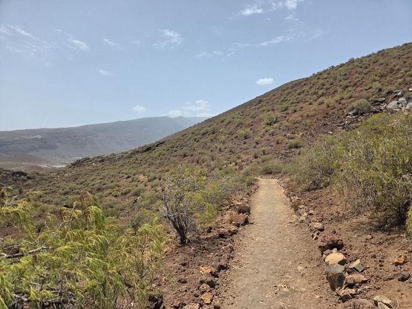 Gravel path winding between volcanic slopes toward the interior of the Malpaís de Güímar reserve.