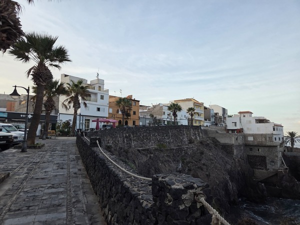 Promenade with palm trees and low houses above the lava cliffs of Playa Méndez near Alcalá, Tenerife.