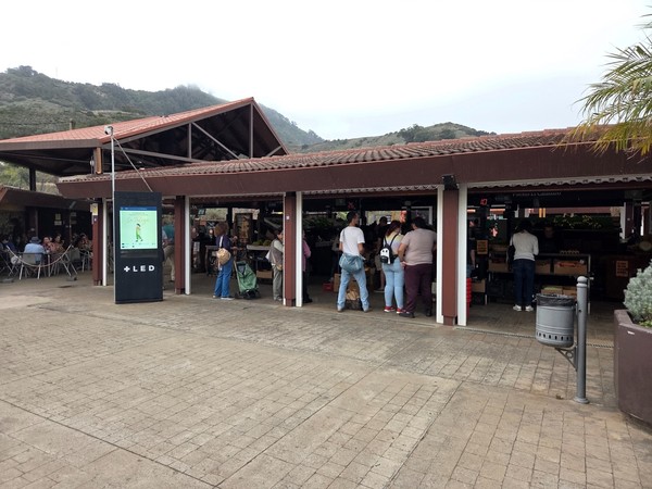 Main arcade of Mercadillo de Tegueste with shoppers queuing at farm stalls on a cloudy morning.