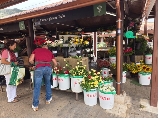 Flower vendor arranging roses, sunflowers and mixed bouquets at a stand labeled Flores y plantas Chajo.
