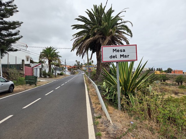 Town entrance sign for Mesa del Mar lined with palm trees on the way down from Tacoronte.