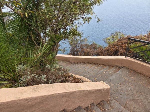 Curving stairway with stone paving and sea views framed by palms and shrubs Curving stairway with stone paving and sea views framed by palms and shrubs.