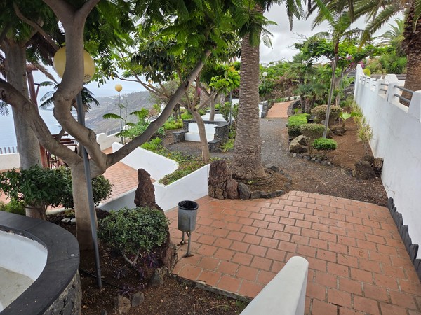 Tree-shaded terraces and benches at the entrance to the Mirador de La Garañona park in El Sauzal.