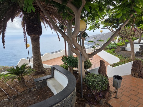 Paved paths and steps leading through the viewpoint gardens above the Atlantic at El Sauzal.