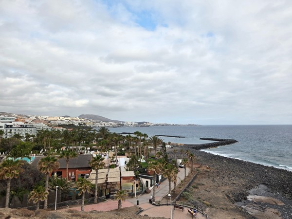 Sweeping view from the mirador toward Playa de las Américas, with palm trees, breakwaters and the resort skyline along the shore.