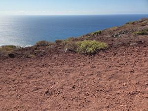 Barren volcanic plain descending toward the ocean, with dry bushes and rocky soil.