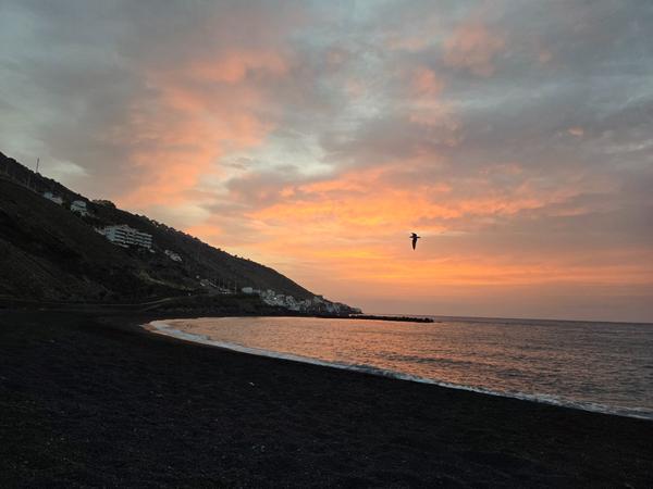 Bird flying over Playa de La Nea during a colorful orange sunrise, casting reflections on the water.