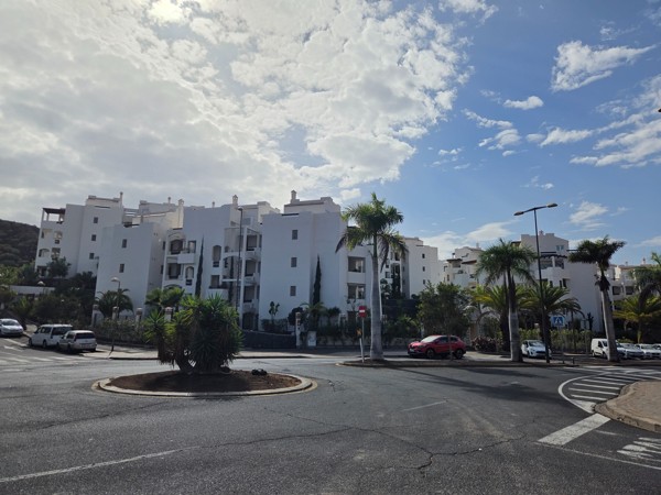 White apartment complexes in Palm-Mar surrounding a roundabout lined with palm trees and landscaped gardens.