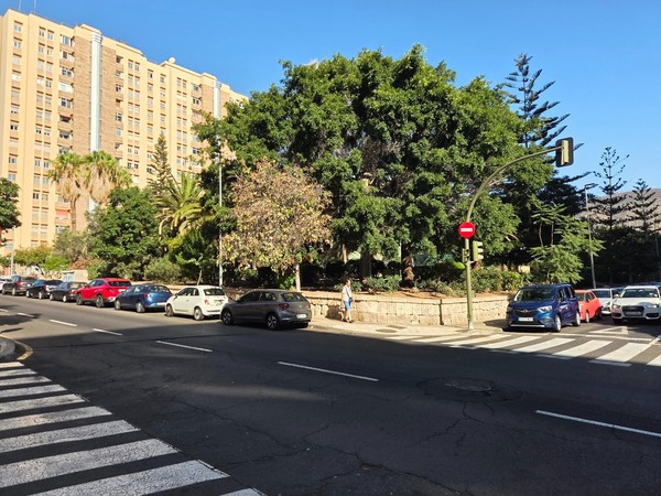 Street view of the park perimeter with tall shade trees and a pedestrian crossing nearby.
