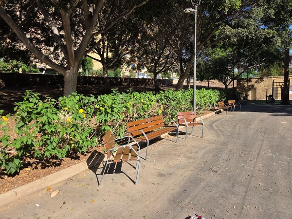 Line of wooden benches set beside shrubs and tall trees along a quiet curved path.