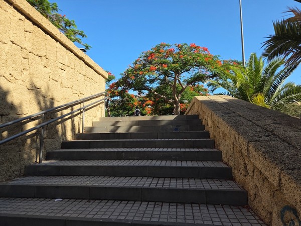 Main stairway with handrails leading up into the park beside flowering trees with red blossoms.