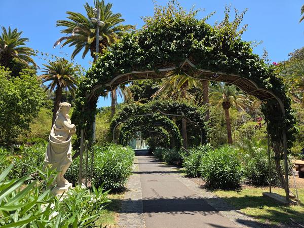 Walkway with green-covered arches and classical statue