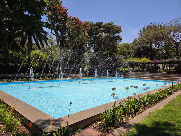 Rectangular pool with dancing fountains surrounded by trees