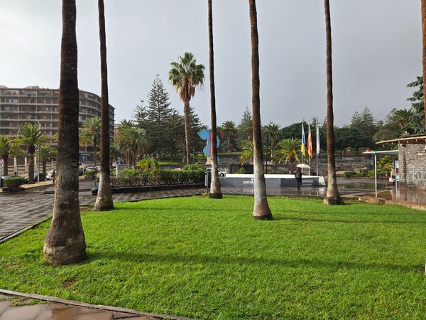 Panoramic view of Parque La Granja in Santa Cruz de Tenerife, with green lawns, palm trees and walking paths after a light rain.