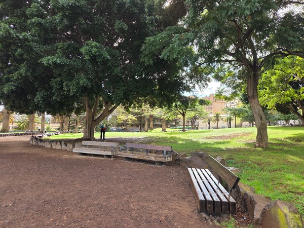 Wooden benches under a large tree in Parque La Granja, with volcanic gravel ground and stone borders.