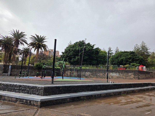 Outdoor fitness area in Parque La Granja with calisthenics bars, palm trees and a view of nearby city buildings.