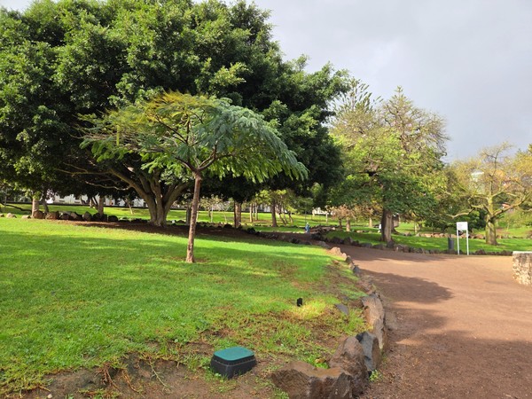 Open grassy area in Parque La Granja with a variety of trees and a reddish volcanic gravel path.