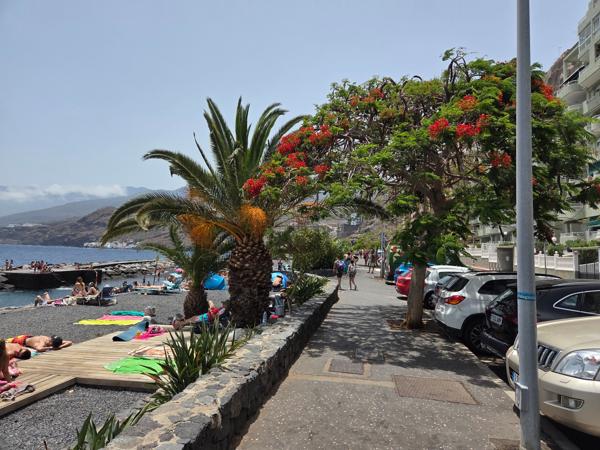 Beach access with palm trees in Radazul