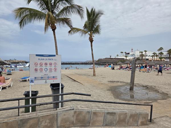 Palm trees and shower area for beachgoers