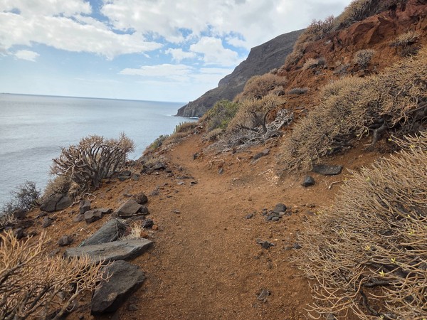 Narrow coastal hiking trail descending towards the sea with dry bushes, volcanic rocks and steep cliffs on the way to Playa de Antequera.