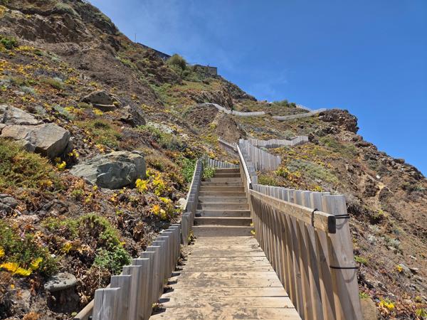 Wooden staircase zigzagging up the cliffside surrounded by yellow wildflowers near Playa de Benijo.