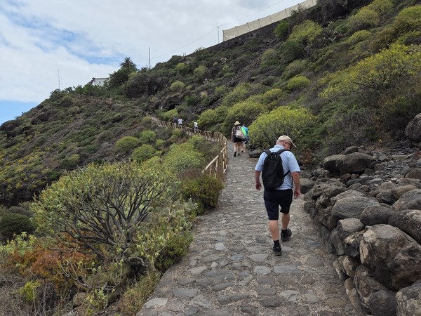 Stone-paved footpath zig-zagging down the hillside surrounded by endemic scrub vegetation.