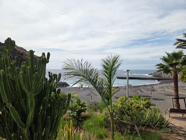 Tropical plants and cacti framing a viewpoint over the black-sand Playa de Ajabo and the Atlantic.