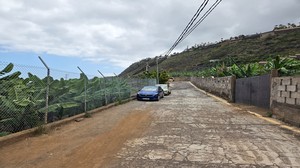 Rustic road lined with banana plantations and parked cars leading to Playa El Ancón.