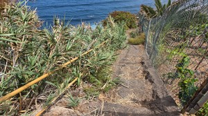 Steep and narrow trail with handrail descending to Playa El Ancón.