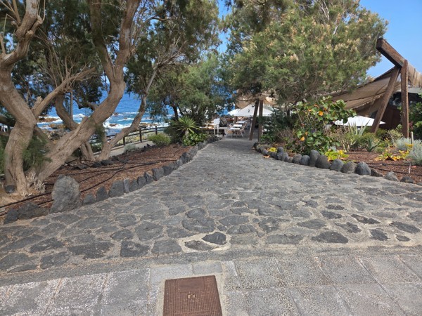 Pathway shaded by tamarisk trees leading to a beachfront restaurant with ocean views.