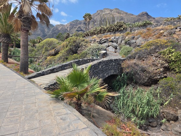 Volcanic-stone pedestrian bridge and cactus garden near the beach entrance.