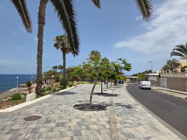 Palm-lined road and pedestrian walkway near Playa del Duque in Costa Adeje.