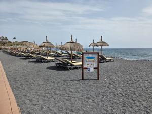 Sunbeds with thatched umbrellas facing the Atlantic