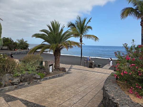 Palm-lined ramp leading down to Playa Jardín's main entrance.