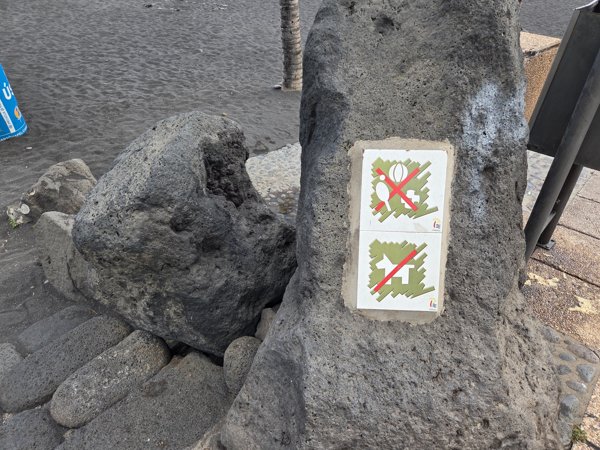 Stone with prohibition signs indicating no ball games and no dogs on the beach.