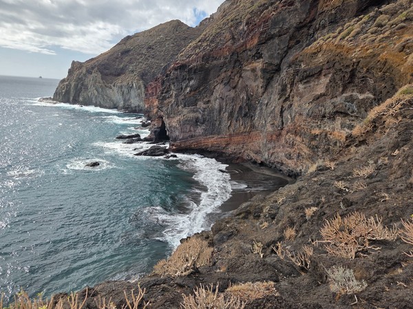 Wide coastal scene at Playa de Zapata with dry coastal plants in the foreground, steep volcanic cliffs and the Atlantic Ocean stretching to the horizon.