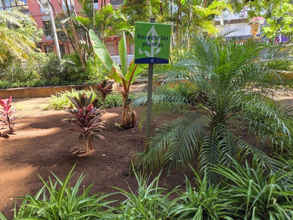 Garden beds with palms, banana plants and ornamental foliage inside Plaza del Príncipe de Asturias.