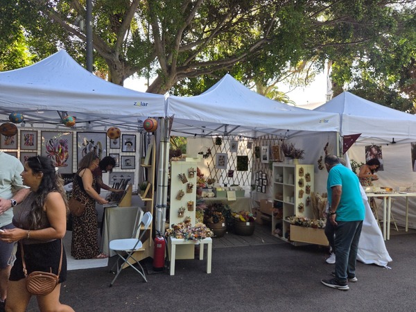 Pressed-plant artworks and dried-leaf compositions displayed in frames. Taken at Plenilunio 2025 in García Sanabria Park, Santa Cruz de Tenerife.