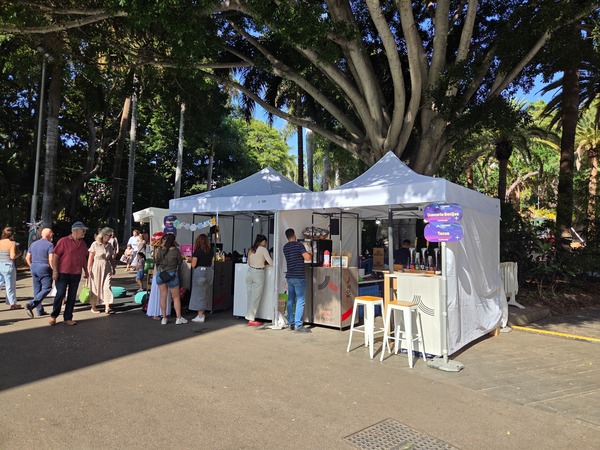 Quesería Benijos and Tacos stand pouring drinks and serving bites near the giant ficus. Taken at Plenilunio 2025 in García Sanabria Park, Santa Cruz de Tenerife.