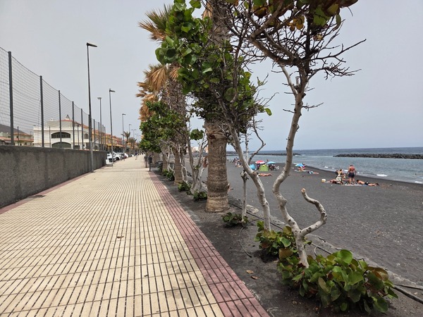 Tree-lined beach walkway and promenade beside the black sand of El Puertito de Güímar.