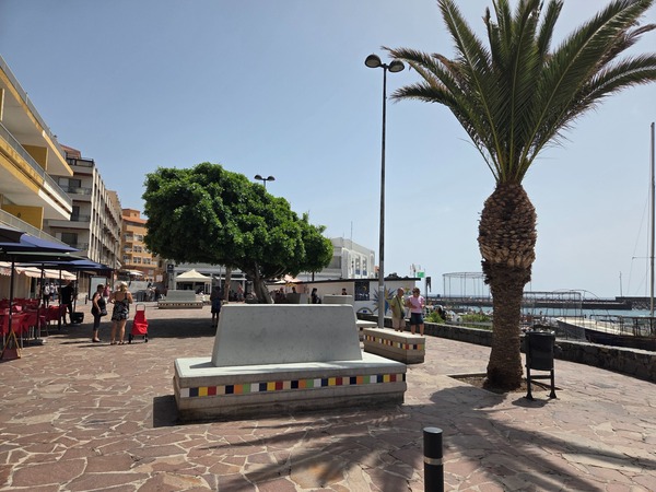 Seafront plaza with palm trees and seating overlooking the harbour in El Puertito de Güímar.